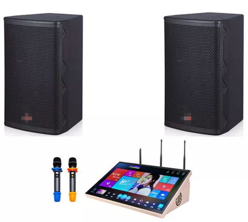 預(yù)算6千到1萬(wàn)的家庭KTV音響設(shè)備選購(gòu)指南