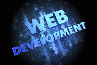 數字時代的黃金賽道 為何計算機軟件開發仍是“最有前途”的專業之選？